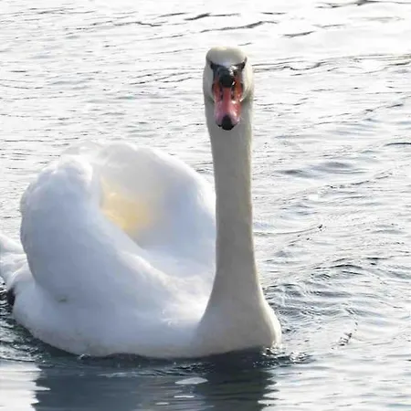 Le Venise By Alex * Fréjus
